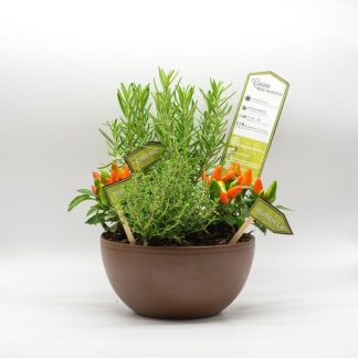Galvanised Steel Tall Rim Planter, 60cm