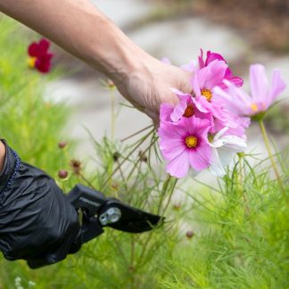 Bypass Secateurs — Burgon Classic
