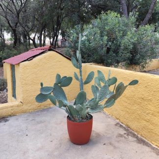 Galvanised Steel Tall Rim Planter, 40cm