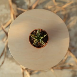 Glazed Ceramic Tall Rim Planter, 40cm