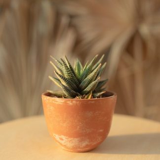 Glazed Ceramic Bowl Planter, 60cm