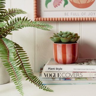Galvanised Steel Tall Rim Planter, 60cm
