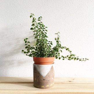 Terracotta Bowl Planter, 30cm